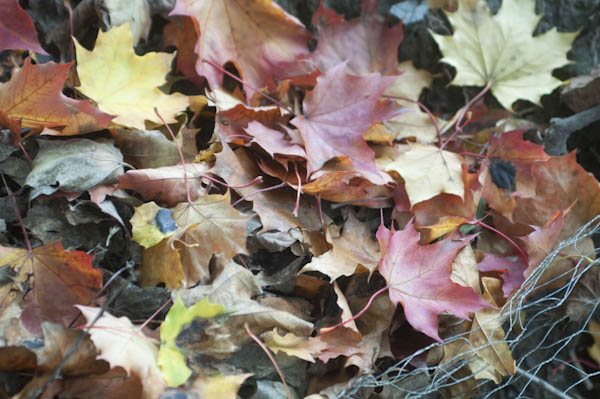 Viagem Montreal Canada